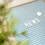 Das Wort News auf einer grauen Tafel mit Grünpflanze an der linken Seite